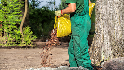 Mulch Removal and Replacement